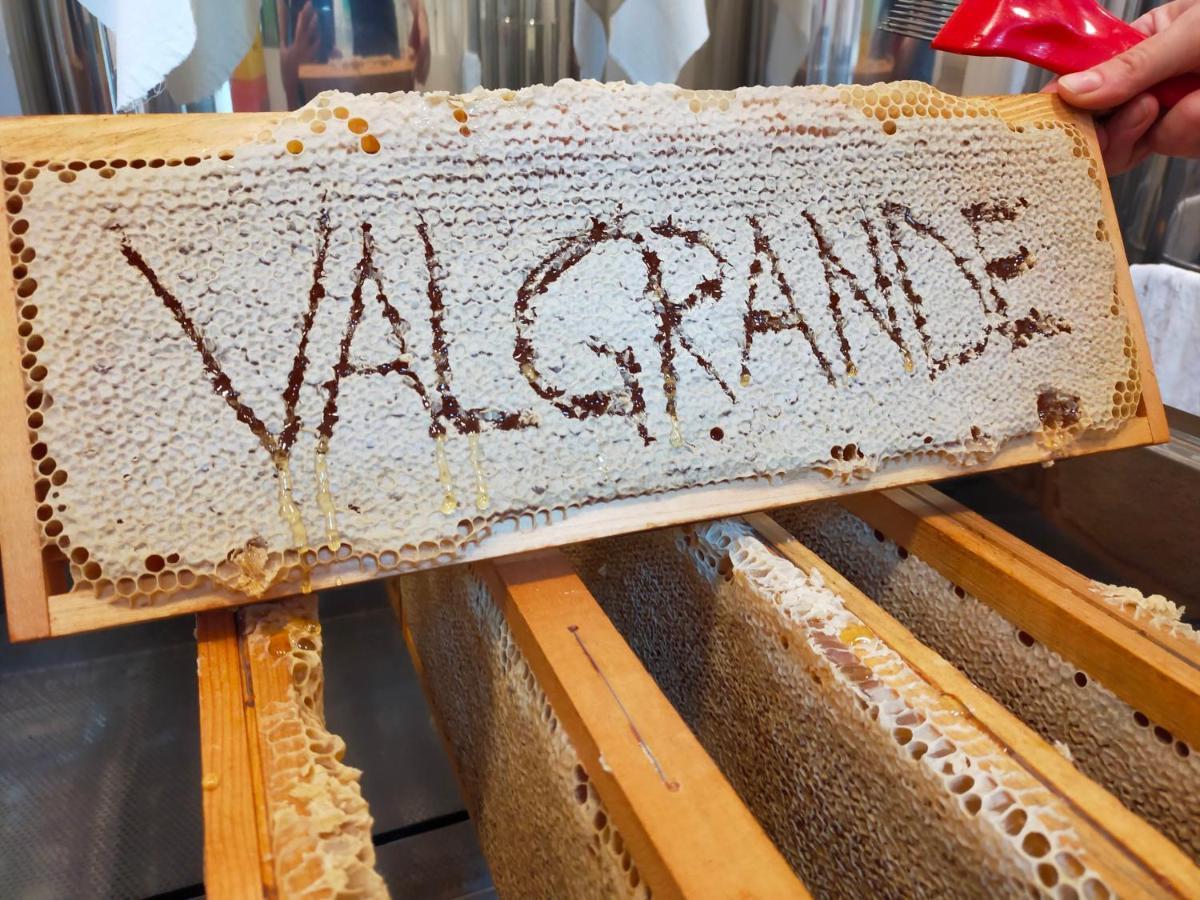 B&B Ca' Del Pitur Cicogna Cossogno Eksteriør bilde